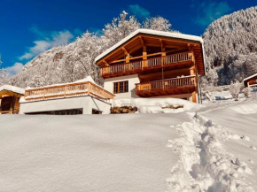 Modernes Bergchalet mit Spa und Sonnenterrasse